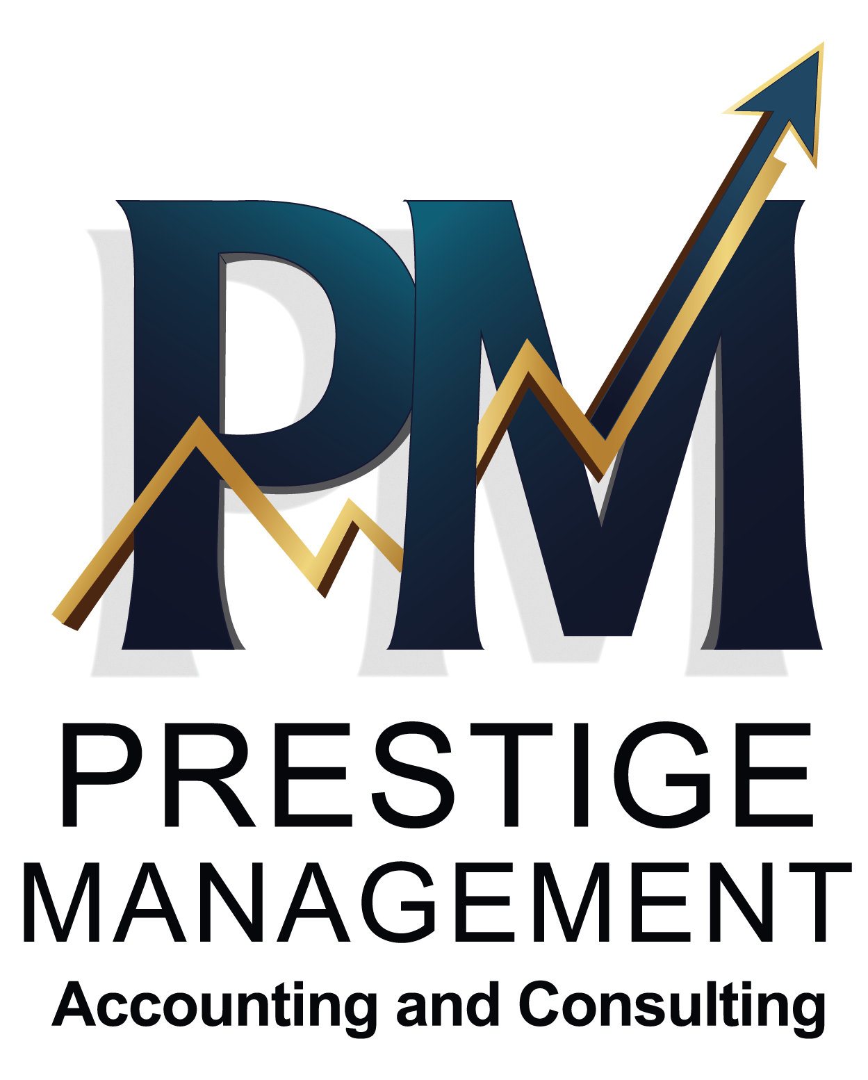 PM Accounting and Consulting